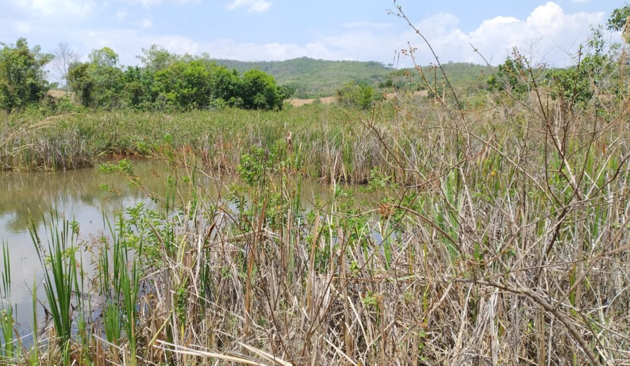 Riazo Solar Imóveis