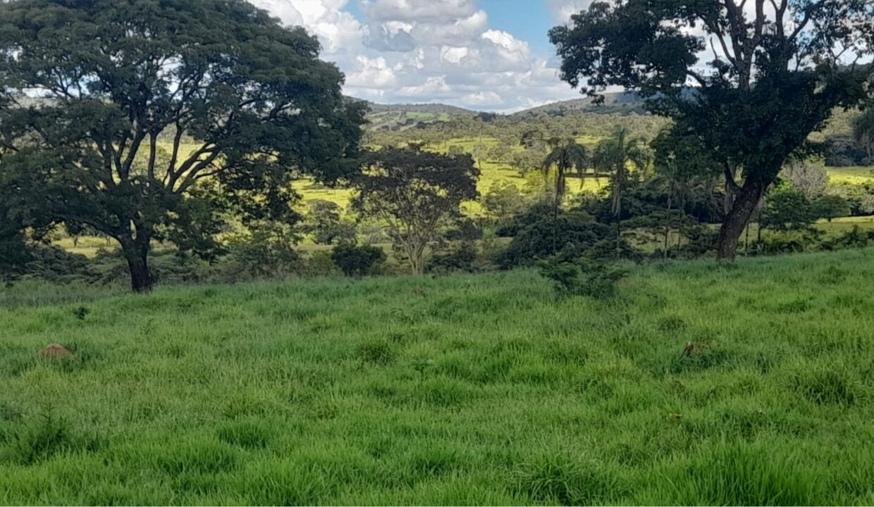 Fazenda a Venda em Pirenópolis