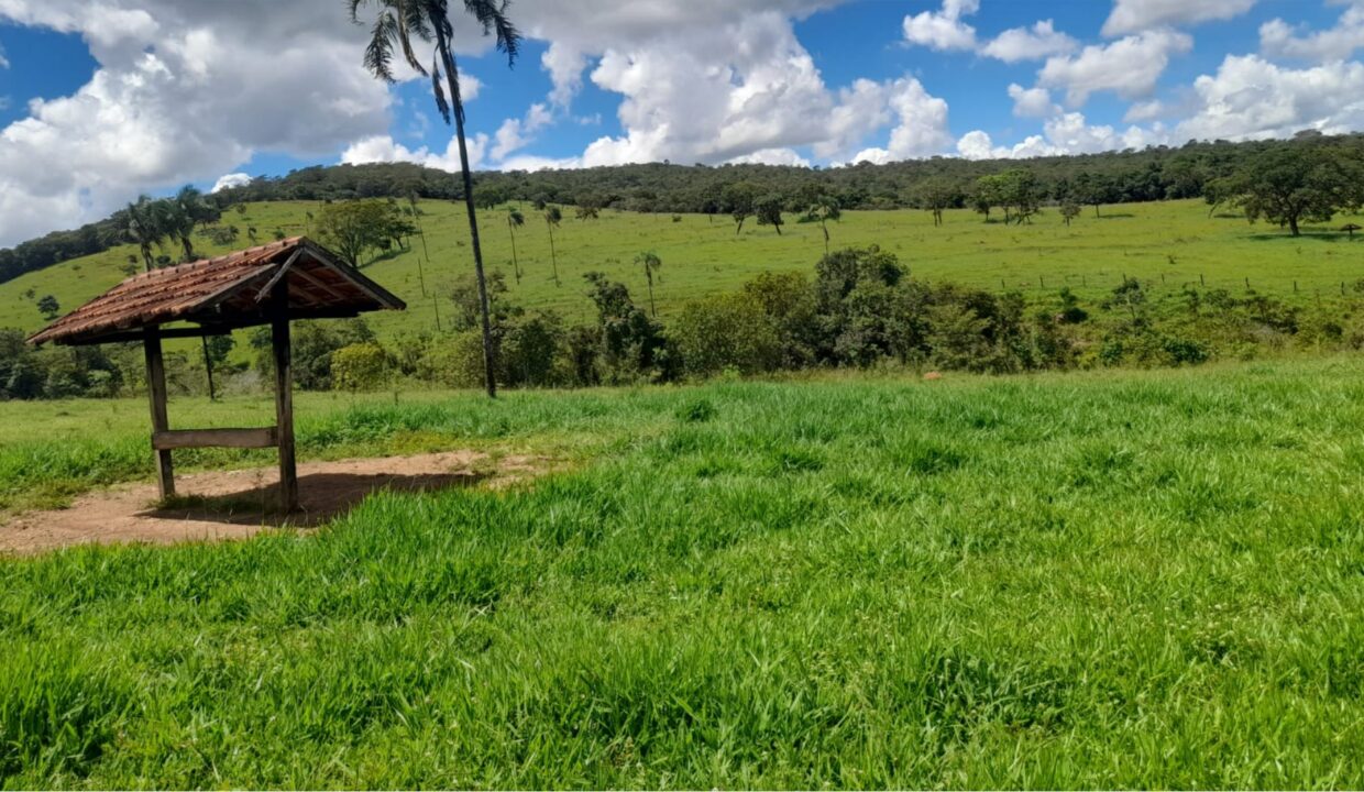 Fazenda a Venda em Pirenópolis