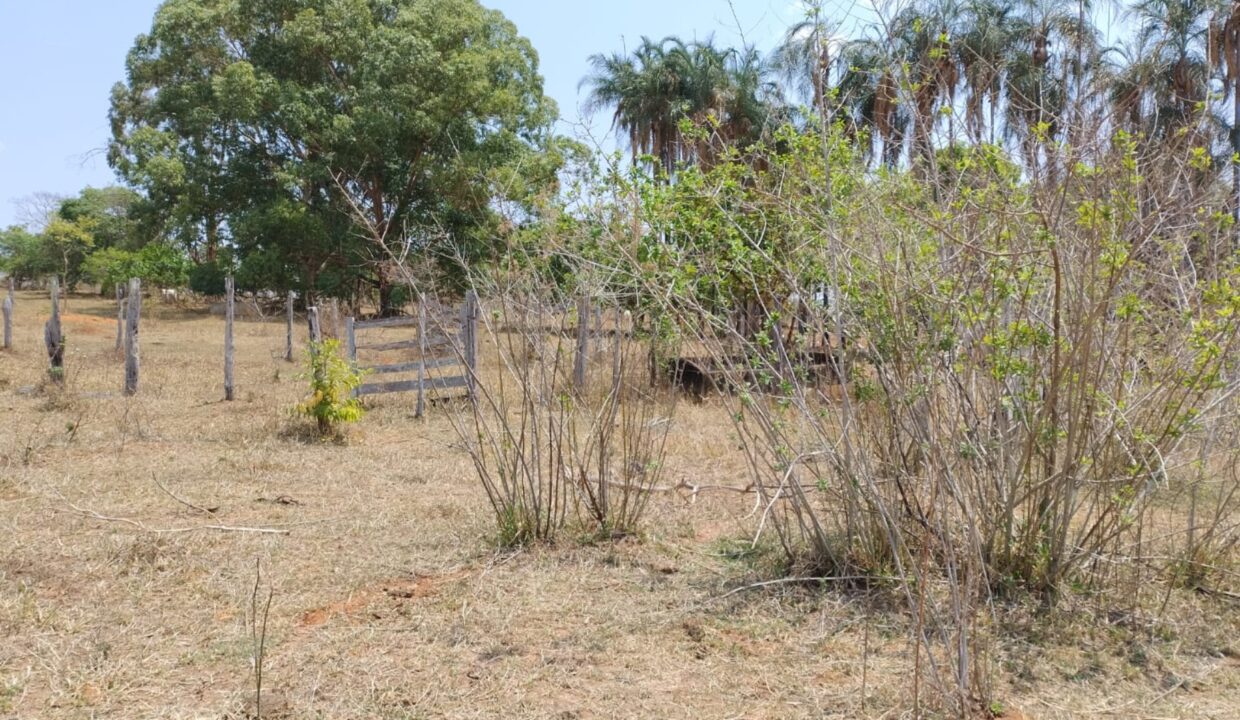 Riazo Solar Imóveis