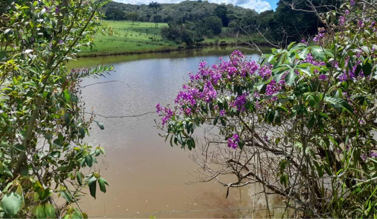 Fazenda a Venda em Pirenópolis
