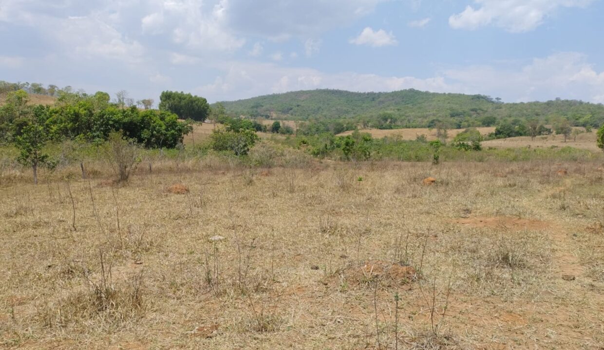 Riazo Solar Imóveis