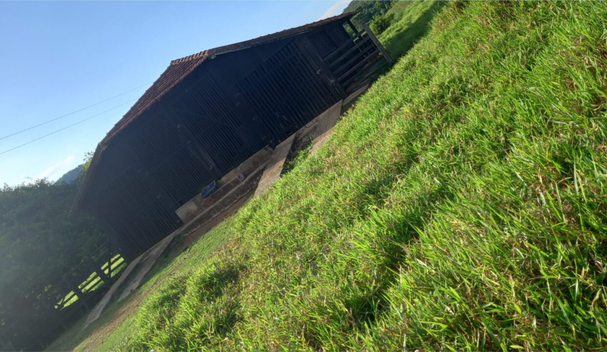 Fazenda a Venda em Pirenópolis