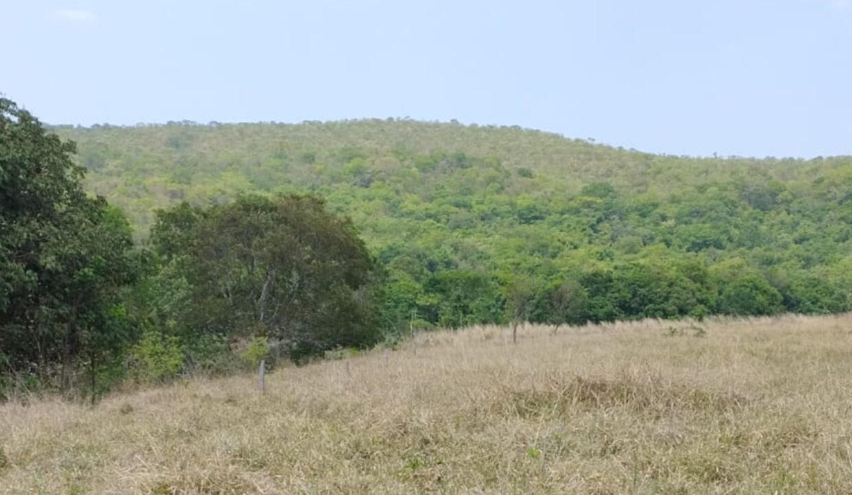 Riazo Solar Imóveis