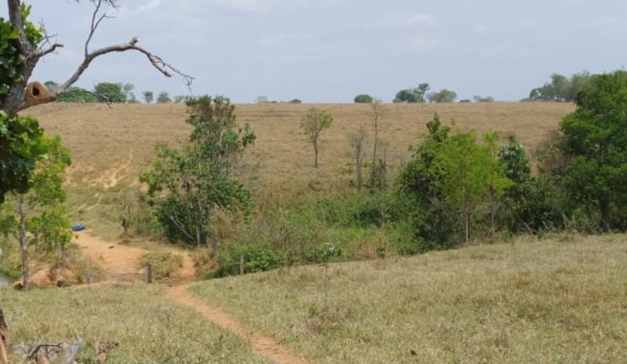 Riazo Solar Imóveis